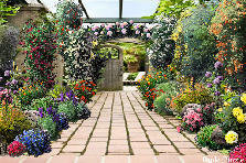 Garden design:open-door