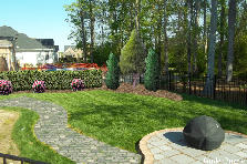 Garden design:hayman hedge revb