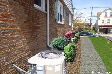 side yard - Autumn