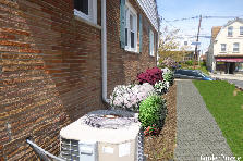 Garden design: Garden design:side yard