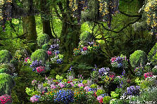 Garden design:There lives a wee village that no one knows, beneath a wooded swamp of trees, where beautiful things grow. If you should find this place this is what you see and nothing else... By late night when no one else lurks, tiny little people with lanterns come out to plant beautiful things, and tend the garden already there. Garden design:Little Swamp Village Beneath Garden