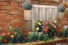 Garden design:window sill