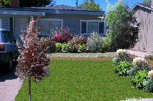 Garden design: Garden design:front yard 1
