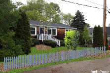 Front Yard - Summer