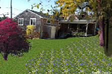 backyard - Autumn