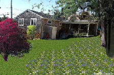 backyard - Summer