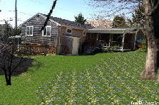backyard - Winter