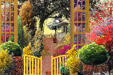 Garden design:happy in my little house