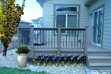 Garden design: Garden design:Deck 1
