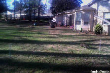 Garden design: Garden design:YARD5