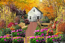 Garden design:grammy's house