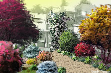 Garden design:Аlley