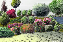 Garden design:Walkway