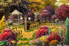 Garden design:fall wonders