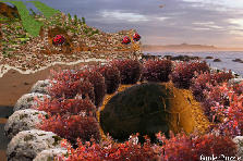 Garden design:Dragon's Egg.