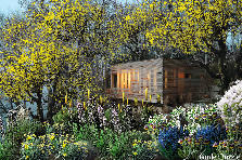Garden design: Garden design:Spring Evening