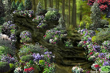 Garden design:A long time ago this was a path through the enchanted forest of 2 young loved ones. Husband and wife. Over many years many trees have taken over and split the walkway they made to their small cottage, and many roots left it's creepy print on the story behind the home. Many have seen it, but would not pass this point. In all 3 seasons, it seems like not much, but in summer, the mosses, and shrubs that have grown here, come alive... dare you go? Garden design:The Once Enchanted Path
