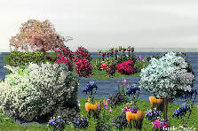 Garden design: Garden design:flower beach