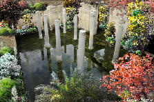 Life's pillars consist. - Autumn