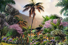 Garden design:Grand Palms Beach Resort