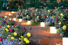 Garden design:Lets take an evening walk