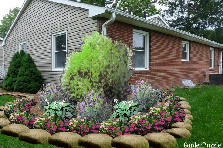 Garden design:southeast corner