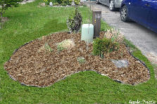 Front Garden Spring 2012 - Winter