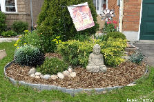 Garden design: Garden design:Front Yard