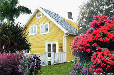 Garden design:the yellow house Garden design:the yellow house