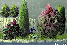 Garden design: Garden design:back home