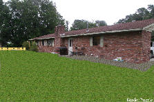 Garden design: Garden design:backyard boyd