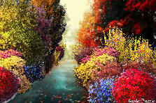 Garden design:An Autmn Road