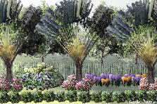 Garden design: Garden design:choices