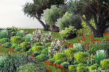 Garden design: Garden design:something sud