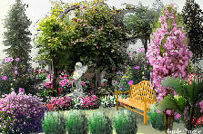 Garden design: Garden design:garden arch
