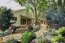 Garden design: Garden design:Backyard forest
