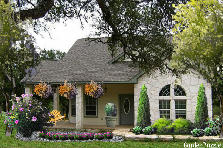 Austin, Texas - Autumn