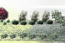 Garden design:TIERED WALL
Garden design:CORDLE