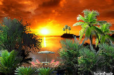 Garden design: Garden design:Lonely place