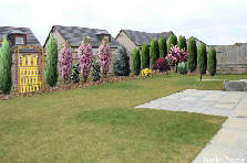 Garden design: Garden design:120516 back garden SW
