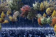 Let it pour - Autumn