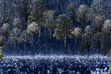 Let it pour - Winter