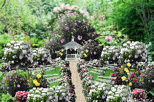 Garden design:''''' Garden design:LET THE WEDDING BEGIN