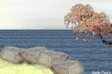 Garden design: Garden design:water