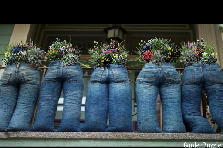 Garden design: Garden design:Blue Jean Planters