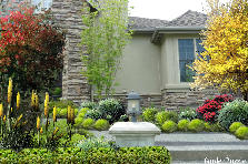 Garden design: Garden design:front of house (II version)