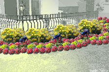 Garden design:It is home to a beautiful flower. Garden design:Home of your dreams.