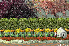Garden design: Garden design:foxmcloud134