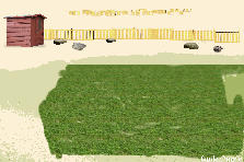 Garden design:Summer Garden Garden design:Garden