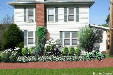 Garden design:Side Garden